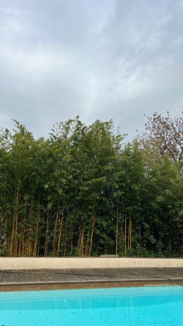 Summer is coming for our guests checking in today with H2ome Services!🌞